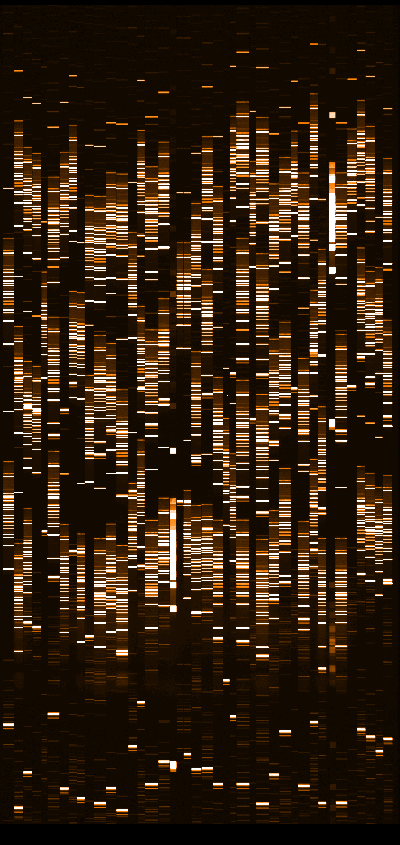 [std_th.gif 2K]