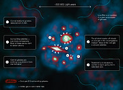Infografik som viser hvordan en Lyman-alpha Blob er opbygget