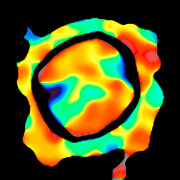 Rychlostní mapa pohybu hmoty na povrchu hvězdy Antares na základě dat z VLTI
