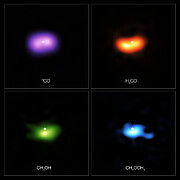 Molecules in the disc around the star IRS 48