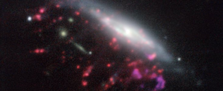 Visuallizzazione di una galassia-medusa con i dati di MUSE