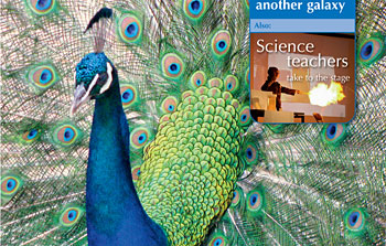Science in School Issue 19 Out Now!
