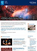 ESO Photo Release eso1340da - Unge stjerner koger i Rejetågen