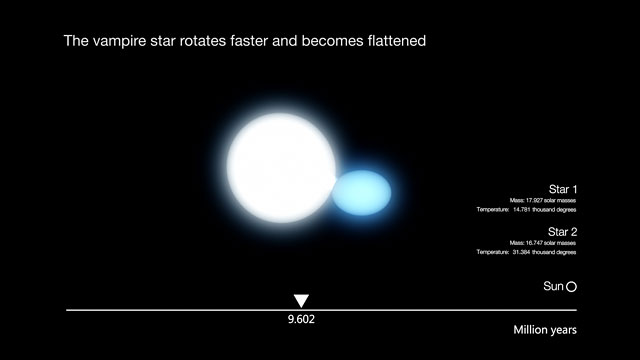 Artystyczna wizja ewolucji gorącej, masywnej gwiazdy podwójnej (wersja z opisami)