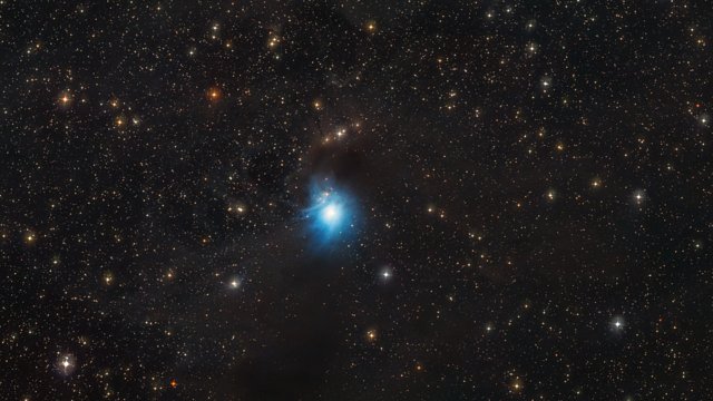 Zoom auf den jungen Stern im Reflexionsnebel IC 2631