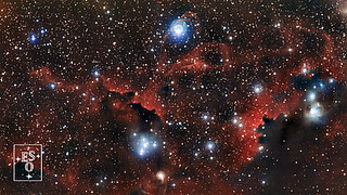 The glowing cloud Sharpless 2-296, part of the Seagull Nebula