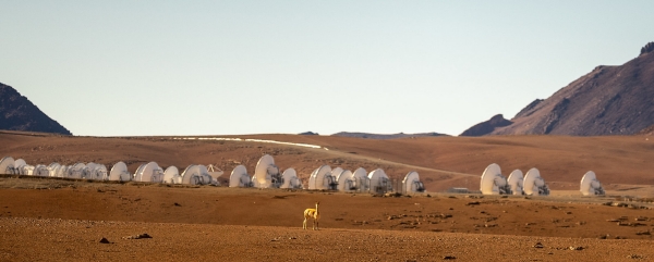 ALMA on January 30, 2021 ALMA on January 30, 2021