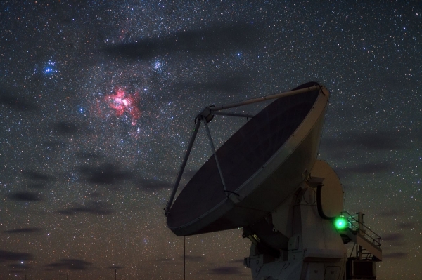 Starbirth over ALMA