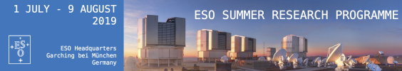 ESO Summer Research Programme