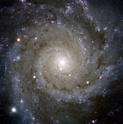 SN2013ej in M74 SN2013ej in M74