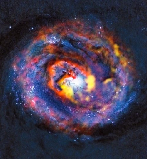 NGC 1433 (ALMA & HST observations)