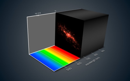 MUSE image reconstruction