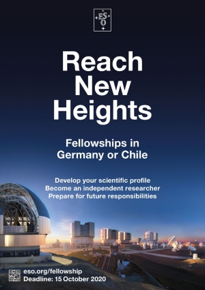 ESO Fellowship Scheme