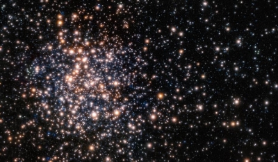 The unusual cluster Terzan 5 The unusual cluster Terzan 5