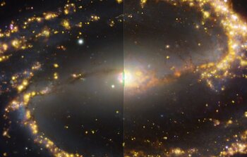 Vergleich verschiedener Ansichten der Galaxie NGC 1300