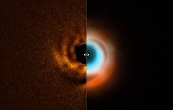 A disc and a planet candidate around the star HD 135344B