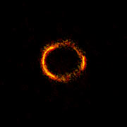 ALMA image of the gravitationally lensed galaxy SDP.81