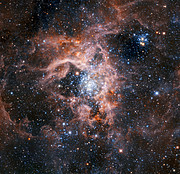 A região da Nebulosa da Tarântula obtida com o HAWK-I e a Infraestrutura de Óptica Adaptativa