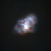 The Crab Nebula as seen by CONCERTO
