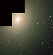 The elliptical galaxy NGC 4365