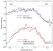 Near-infrared spectrum of the brown dwarf object 2M1207 and GPCC