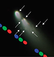 Mini-comets coming off comet SW-3