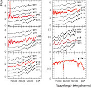 Spectra of the candidate 'Planemos'