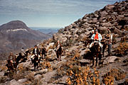 Juin 1963 - réunion au sommet sur le Cerro Morado