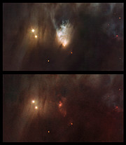 McNeil's Nebula in Messier 78