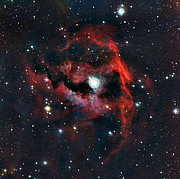 Close-up view of the head of the Seagull Nebula