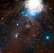 Weitfeldaufnahme der Region um NGC 1999 im Orion