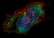 Three-dimensional view of ALMA observations of the outflows from NGC 253