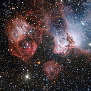 La regione di formazione stellare NGC 2035 ripresa dal VLT (Very Large Telescope) dell'ESO