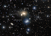 Les environs de la galaxie NGC 5291 (image annotée)
