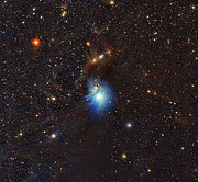 Jovem estrela ilumina nebulosa de reflexão IC 2631