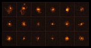 Halos brillants autour de quasars distants