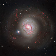 Den vackra galaxen Messier 77