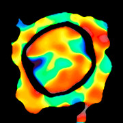 Cartographie des vitesses à la surface d’Antarès réalisée au moyen du VLTI