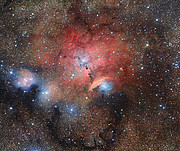 Stellar Nursery Blooms into View