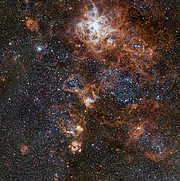La ricca regione di cielo intorno alla Nebulosa Tarantola nella Grande Nube di Magellano