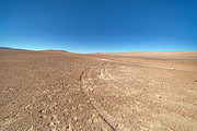 Tracks in the sand