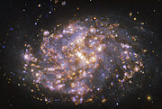 NGC 1087, vista con el instrumento MUSE, instalado en el VLT de ESO, en varias longitudes de onda de luz