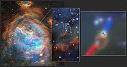 Skivan och jetstrålen i det unga stjärnsystemet HH 1177 observerad med MUSE och ALMA