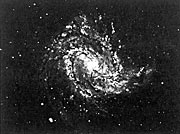 Southern spiral galaxy NGC 5236