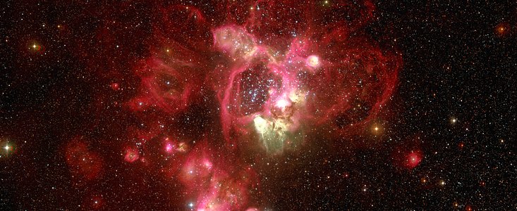 N44 in the Large Magellanic Cloud