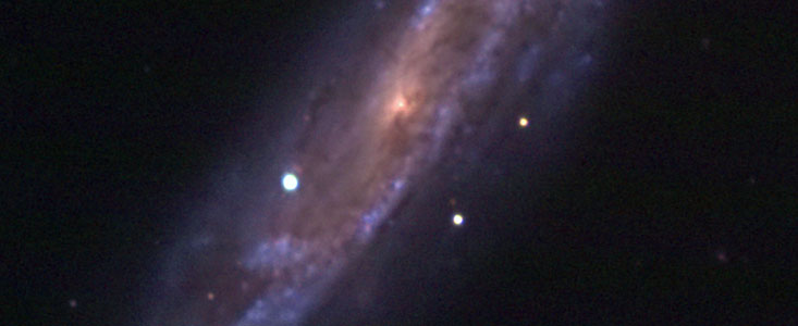 NGC 2770, SN 2007uy and SN 2008D