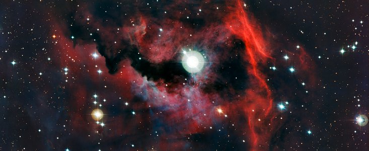 Close-up view of the head of the Seagull Nebula