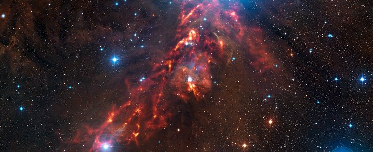 An APEX view of star formation in the Orion Nebula