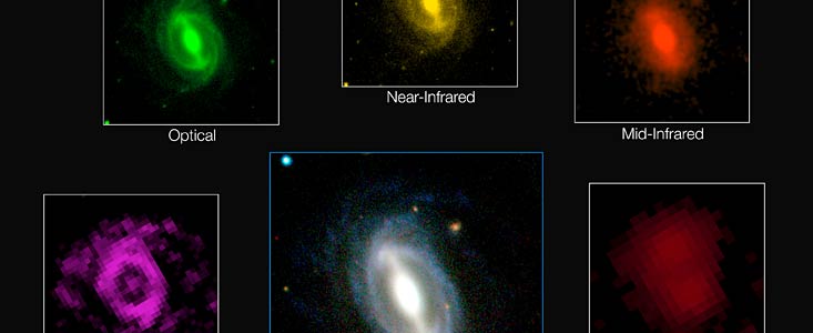 Galaxy images from the GAMA survey