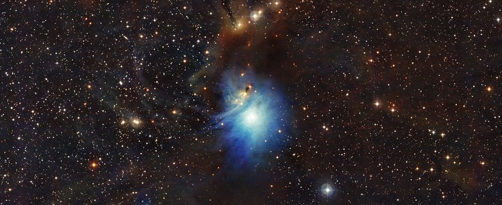Mladá hvězda osvětluje reflexní mlhovinu IC 2631